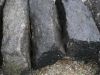 Słupki bazaltowe (surowe), zdjęcie przedstawia wygląd słupków w stanie mokrym